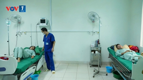 Lai Châu cảnh báo ngộ độc nấm dại sau hai vụ việc liên tiếp