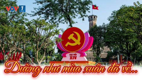 Dường như mùa xuân đã về…