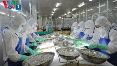 Thủy sản Việt Nam trước ngưỡng cửa hội nhập (08/01/2016)