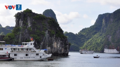 Nguyên nhân nào dẫn đến hiện tượng ô nhiễm dầu trên Vịnh Hạ Long? (21/12/2015)