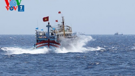 Tai nạn nghề cá trên biển – thực trạng đáng lo ngại (14/12/2015)