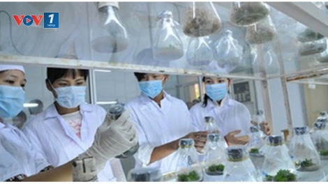 Thông tư 27 - Khoán 10 trong nghiên cứu khoa học từ ngân sách nhà nước (19/2/2016)