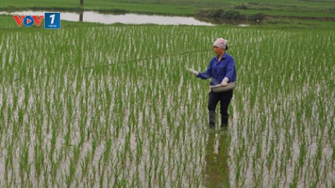 Kinh nghiệm khởi nghiệp gắn với bảo vệ môi trường và chống biến đổi khí hậu (23/3/2016)