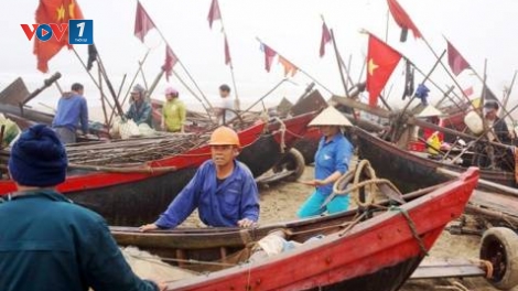 Phát triển và văn hóa (24/3/2016)