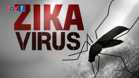 Australia vừa thông báo trường hợp nhiễm vi rút zika sau khi trở về từ Việt Nam (Thời sự đêm 23/3/2016)