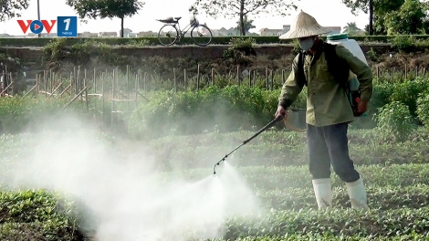 Hội chứng "rau 2 luống, lợn 2 chuồng" - hay con đường đồng bào ta đầu độc đồng bào mình (15/4/2016)