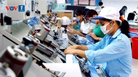 Tư vấn về Luật Lao động. (19/01/2016)