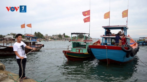 Biển đảo Việt Nam ngày 1/9/2014: Đà Nẵng - Nhiều sáng kiến giúp ngư dân vươn khơi hiệu quả