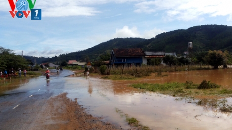 Thời sự trưa ngày 26/8/2014: Lâm Đồng: Lũ về đột ngột, ngập lụt 50 hộ dân, giao thông bị ách tắc.