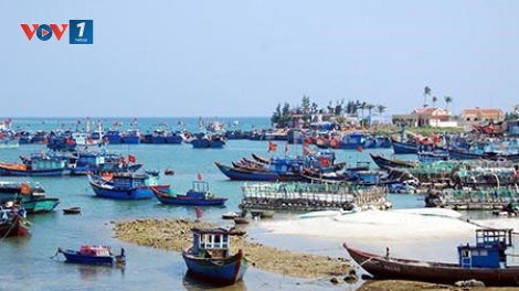 Biển đảo Việt Nam ngày 20/8/2014: Lý Sơn chuyển mình phát triển mạnh mẽ.