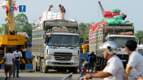 Thời sự trưa ngày 8/8/2014: Có hay không hiện tượng bảo kê cho xe quá khổ, quá tải?