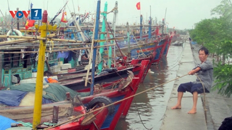 Thời sự đêm ngày 27/8/2014: Các tỉnh, thành phố từ Quảng Ninh đến Khánh Hòa theo dõi chặt chẽ diễn biến của vùng áp thấp