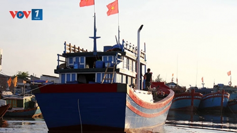 Biển đảo Việt Nam ngày 6/7/2014
