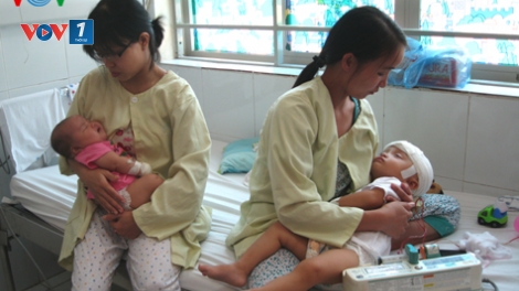 Thời sự trưa ngày 29/6/2014: Bộ Y tế đề nghị người dân cần cho trẻ tiêm vắc-xin viêm não Nhật Bản đầy đủ và đúng lịch