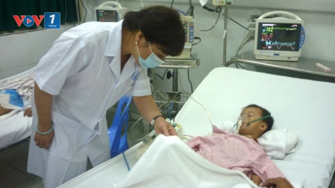 Thời sự trưa ngày 6/7/2014: Gia tăng bệnh nhân viêm não Nhật Bản tại 2 thành phố lớn
