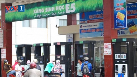 Kinh tế ngày 07/7/2014: Triển khai sản xuất, tiêu thụ xăng sinh học - cái khó ở vùng nguyên liệu