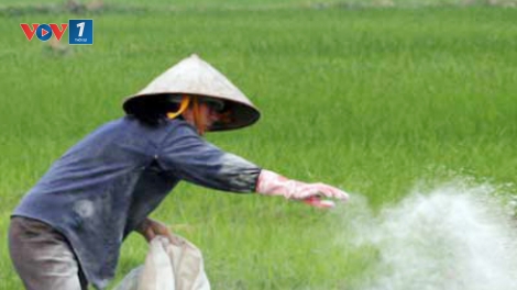 Tăng cường các biện pháp để đẩy lùi nạn phân bón giả.