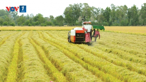 Nông dân thời hội nhập: Phải thay đổi tư duy và cung cách làm ăn