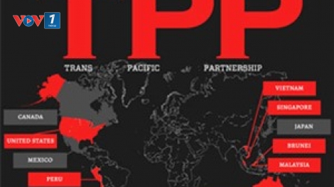 TPP và vấn đề sở hữu trí tuệ