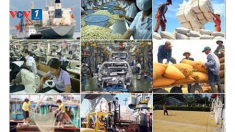 Doanh nghiệp cần nỗ lực nhiều mặt để cạnh tranh trong xuất khẩu