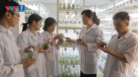 Nữ trí thức Việt Nam- cần lắm sự sẻ chia