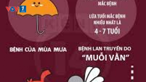 Bộ Y tế khuyến cáo người dân thực hiện 6 biện pháp chính để phòng chống dịch sốt xuất huyết. (Thời sự chiều ngày 7/10/2015)