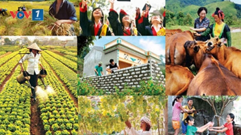 Chương trình mục tiêu quốc gia: Cần giảm về lượng, tăng về chất.