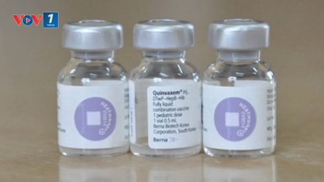 Bộ Y tế khẳng định: Vẫn tiếp tục sử dụng vaccine Quinvaxem trong chương trình tiêm chủng mở rộng Quốc gia (Thời sự chiều 2/11/2015)