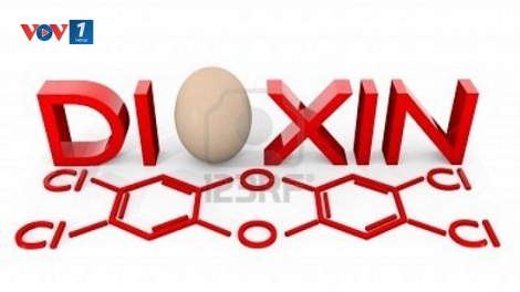 Kết quả nghiên cứu mới về tác hại của chất da cam/dioxin đối với con người và môi trường ở nước ta. (Thời sự đêm 24/11/2015)