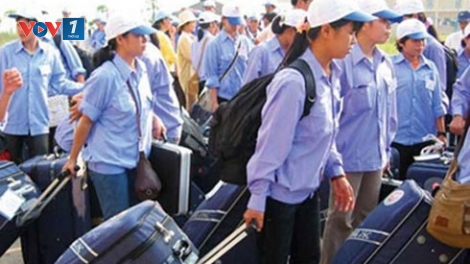 Chính phủ với người dân ngày 10/01/2015: Lừa đảo trong xuất khẩu lao động - những vấn đề đặt ra.