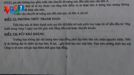 Khi vai trò tổ chức hội mờ nhạt
