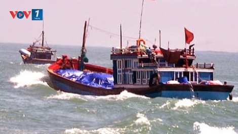 Biển đảo Việt Nam ngày 21/01/2015: Đảm bảo an toàn cho ngư dân vươn khơi bám biển.