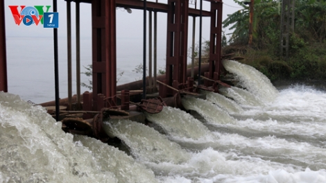 Thời sự đêm ngày 22/01/2015: Hơn 200 nghìn hecta của các tỉnh miền Bắc có nước đổ ải phục vụ gieo cấy lúa đông xuân 2014-2015