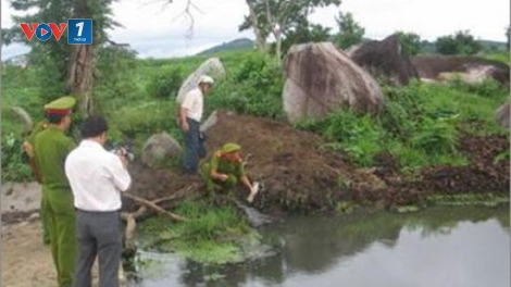Môi trường và phát triển ngày 26/01/2015: Quản lý môi trường: Yếu vì thanh tra, kiểm tra, giám sát kém hiệu quả