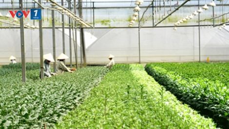 Khoa học và công nghệ ngày 30/01/2015: Nông nghiệp thông minh - cần sự liên kết biến ý tưởng thành hiện thực