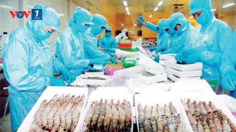 Kinh tế ngày 4/1/2015: Những nỗ lực khơi thông thị trường xuất khẩu.
