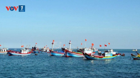Biển đảo Việt Nam ngày 4/1/2015: Ngư dân đánh bắt xa bờ: Khó khăn tìm luồng cá