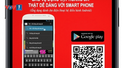 Môi trường và phát triển ngày 05/01/2015: Tận dụng internet để bảo vệ động vật hoang dã.