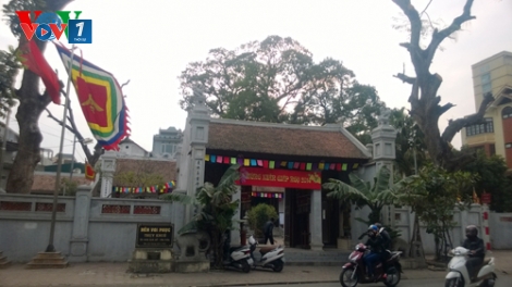 Môi trường và phát triển ngày 12/02/2015: Những sai lầm trong bảo tồn cây di sản Việt Nam