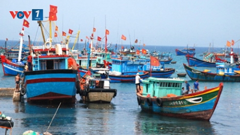 Biển đảo Việt Nam ngày 24/02/2015: Ước vọng đầu năm của ngư dân trên vùng biển Tây Nam.