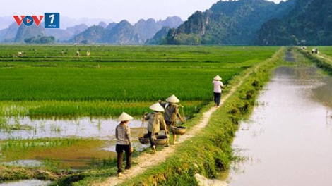 Làm gì để đảm bảo lợi nhuận cho nông dân?.