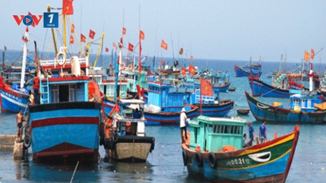 Biển đảo Việt Nam ngày 09/02/2015: Hợp tác vươn khơi, ngư dân vững vàng trên biển