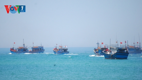 Biển đảo Việt Nam ngày 02/03/2015: Ngư dân vươn khơi và ước vọng đầu năm mới.