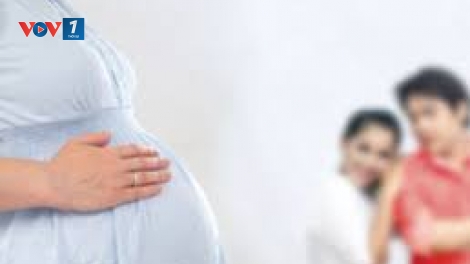 Pháp luật và đời sống ngày 11/3/2015: Mang thai hộ: Cửa đã mở, nhưng mới "hé"?