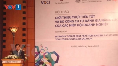 Kinh tế ngày 11/03/2015: Giới thiệu Bộ công cụ tự đánh giá năng lực các hiệp hội doanh nghiệp Việt Nam.