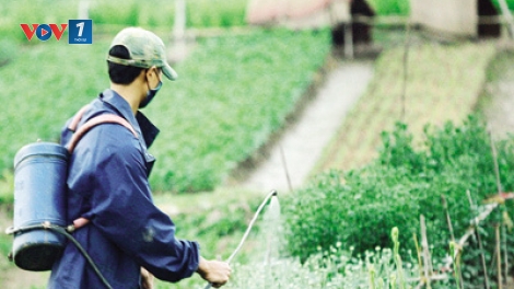Chuyên gia của bạn ngày 17/3/2015: Dự thảo luật Bảo vệ và Kiểm dịch thực vật.