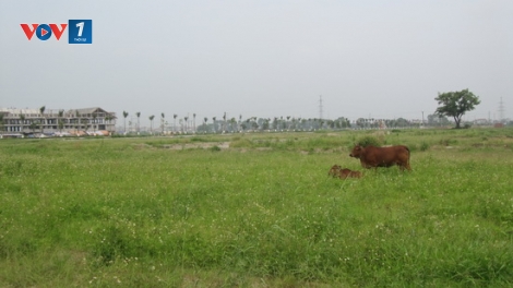 Môi trường và phát triển ngày 26/3/2015: Việt Nam cần có chiến lược quản lý tài nguyên đất đai dài hạn.