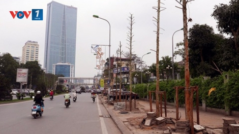 Thời sự đêm ngày 25/3/2015: Sở Xây dựng Hà Nội vẫn khẳng định cây mới trồng trên đường Nguyễn Chí Thanh là cây vàng tâm và số tiền bán gỗ lên đến hàng trăm tỷ là không đúng.