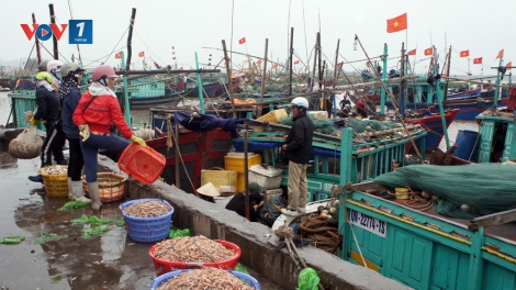 Biển đảo Việt Nam ngày 06/03/2015: Khai thác bền vững nguồn lợi thủy sản ở Đồ Sơn.