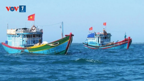 Biển đảo Việt Nam ngày 09/3/2015:Tăng cường sự hiện diện của ngư dân trẻ trên biển.
